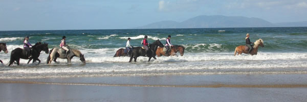 horses on cliffoney beach