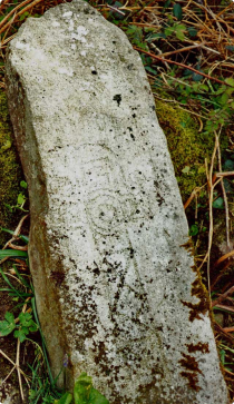 St Brigid’s Well